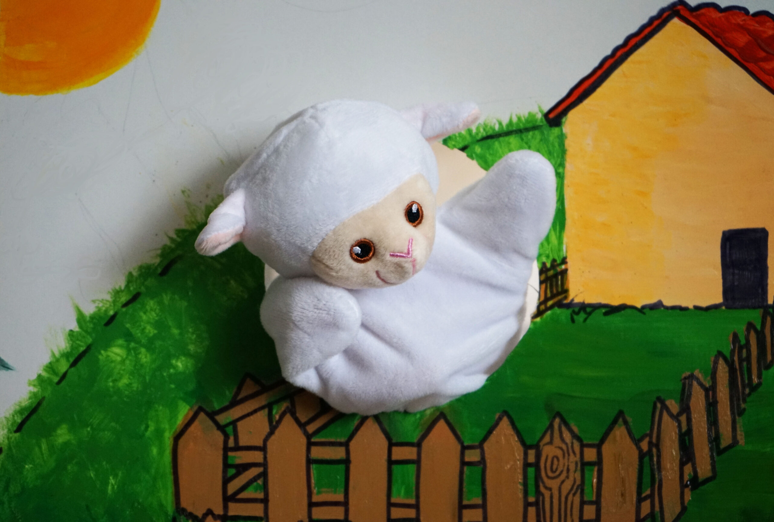 Jouer et découvrir autour des 5 sens